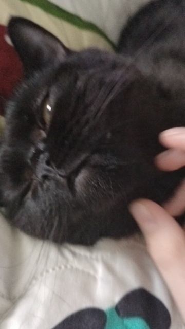 подпишись🙏 смотреть онлайн