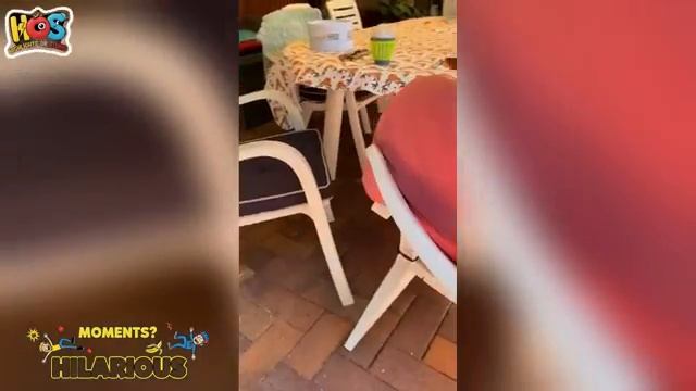 Попробуй не рассмеяться 🤩 Топ-100 самых смешных видео за всю историю 😏 Подборка видео 2026 смотреть онлайн