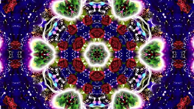 С Днём Рождения! Букеты роз 10 от Киностудии Мудрого Кота Тимофея смотреть онлайн