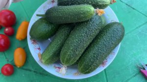 05.07.24 ТО ЖАРА, ТО ЛИВЕНЬ... Огород спустя неделю.