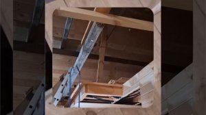 1000047292.mp4 (Собака наблюдает за устройством лестницы на 2 этаж в доме А-фрейм)