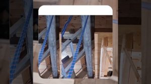 1000047290.mp4 (Собака наблюдает за устройством лестницы на 2 этаж в доме А-фрейм)