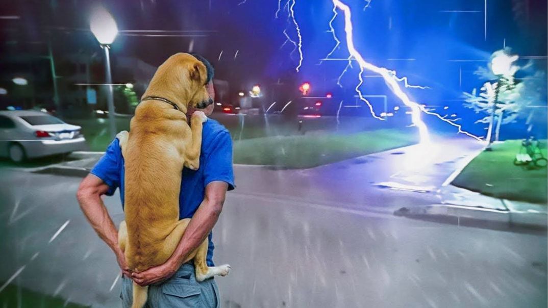 ВИДЕО ПРИКОЛЫ ЗАБАВНАЯ РЕАКЦИЯ ЖИВОТНЫХ НА СУМАСШЕДШУЮ ПОГОДУ РЖАЧНАЯ ПОДБОРКА #2 смотреть онлайн