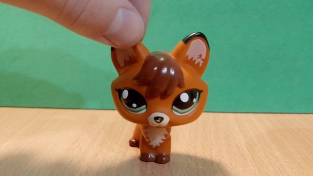 информация о конкурсе LPS популяр смотреть онлайн