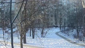 Вид из окна