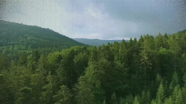 А что бы сделали вы на моем месте? смотреть онлайн