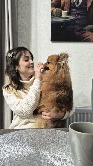 додумались😅😆😆😆