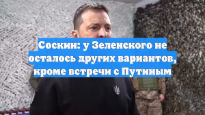 Соскин: у Зеленского не осталось других вариантов, кроме встречи с Путиным