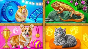 СТРОИМ ДОМИКИ ДЛЯ ЖИВОТНЫХ ЧЕЛЛЕНДЖ. СМОТРИМ ВИДЕО С ЕНОТОМ СЁМОЙ