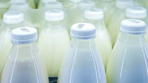 Около 18% молочной продукции в России в 2025 году оказались поддельными