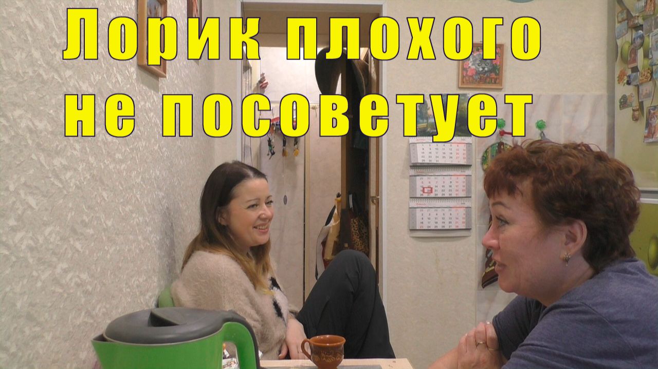 ЛОРИК ПЛОХОГО НЕ ПОСОВЕТУЕТ/ РУКОДЕЛЬНИЦА / 20 января 2026 смотреть онлайн