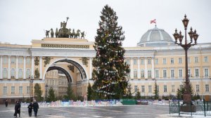 В Петербурге начали демонтировать новогоднюю ель на Дворцовой