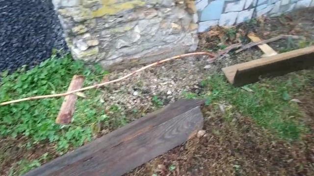 Виноград, Какое укрытие выбрать смотреть онлайн