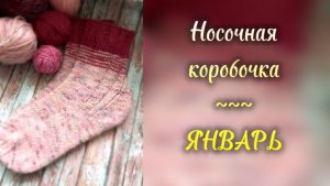 Январский отчёт в СП Носочная коробочка.