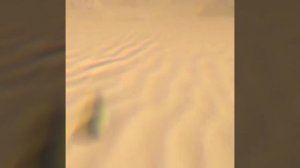 Когда разработчикам становится скучно, они добавляют что-то вроде этого.