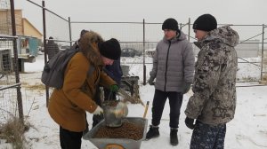 "Мы за них ответственны": В Хакасии волонтёры помогают сгоревшему приюту