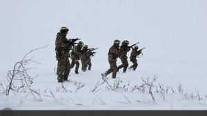 В раде рассказали об обсуждении Зеленским возможного наступления ВСУ на Белоруссию