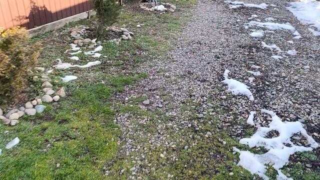 Любят лапки и мои пальцы смотреть онлайн