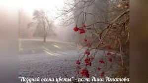 "Поздней осени цветы" - поэт Нина Игнатова
