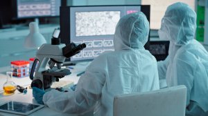 Минздрав: Угрозы распространения вируса Нипах в Таджикистане нет