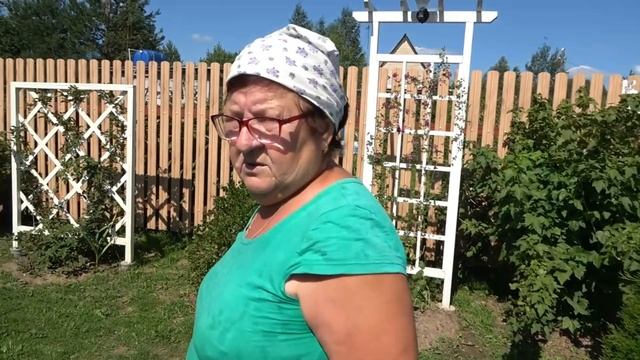 6 соток 11 июля 2021 года. Хроника.