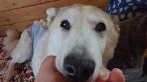 Живу и работаю как все