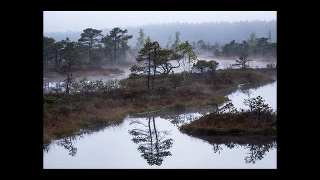 Знающий.Рассказ байки деда Мыколы. Глава 3. Читает автор.