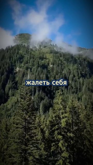 Научиться принимать все свои взлеты и падения смотреть онлайн