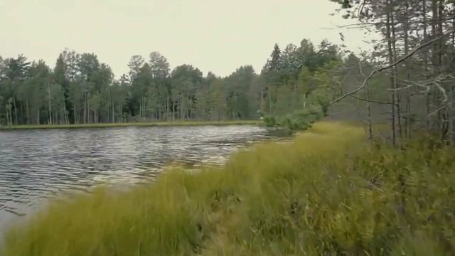 Сергей Воронин - Вечный Театр смотреть онлайн