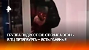 Ранена посетительница: группа подростков открыла огонь в ТЦ "Академ-Парк" в Петербурге