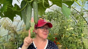 14.08.21 еду в отпуск в деревню. Какой поспел урожай?