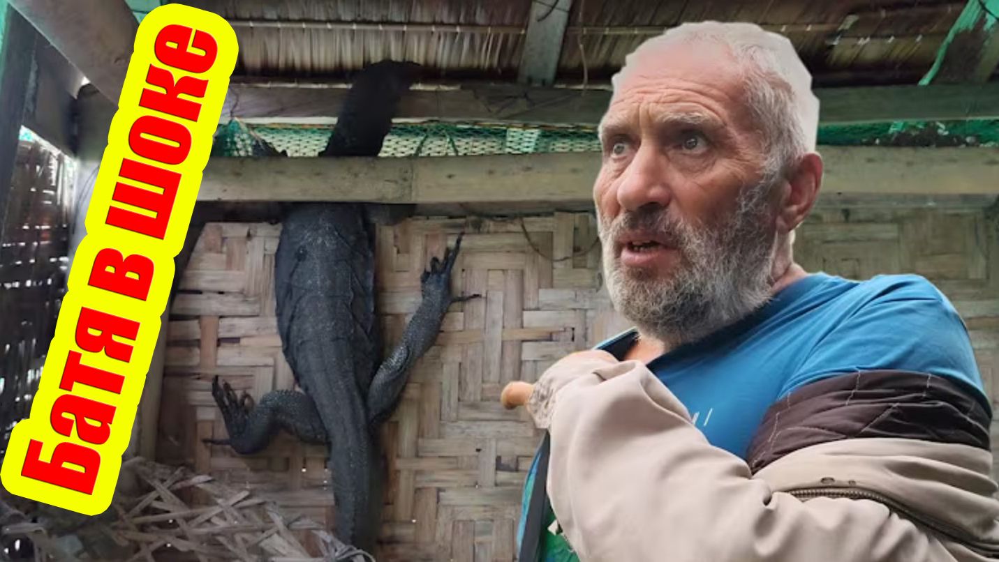 Отец Сергей и Сын Иван | Избавляемся от варана в курятнике | Отец выравнивает землю на участке смотреть онлайн