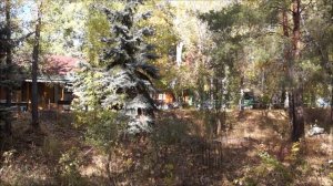 ВНОВЬ НА БАЗЕ ОХОТНИКА И РЫБАКА.