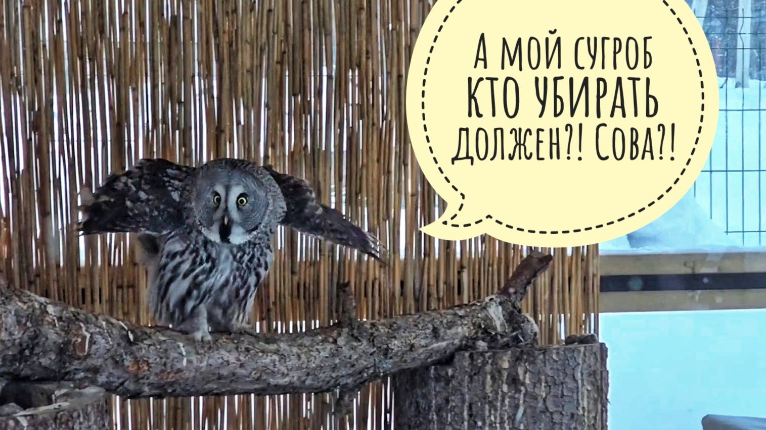 Мы заблокированы в деревне.Дорогу от трассы до деревни нам не чистят и не говорят,кто должен чистить смотреть онлайн