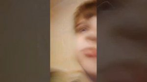 играем с кошкой Муркой в прятки