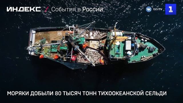 Моряки добыли 80 тысяч тонн тихоокеанской сельди смотреть онлайн