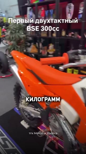 Первый 2Т Эндуро от BSE - TS 300R #эндуро #мотоцикл #мото #bse #бсе смотреть онлайн