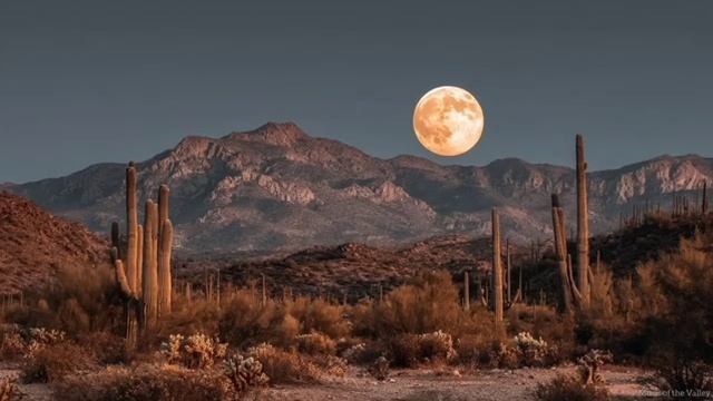 Гармония гитары и флейты @Music_of_the_Valley смотреть онлайн