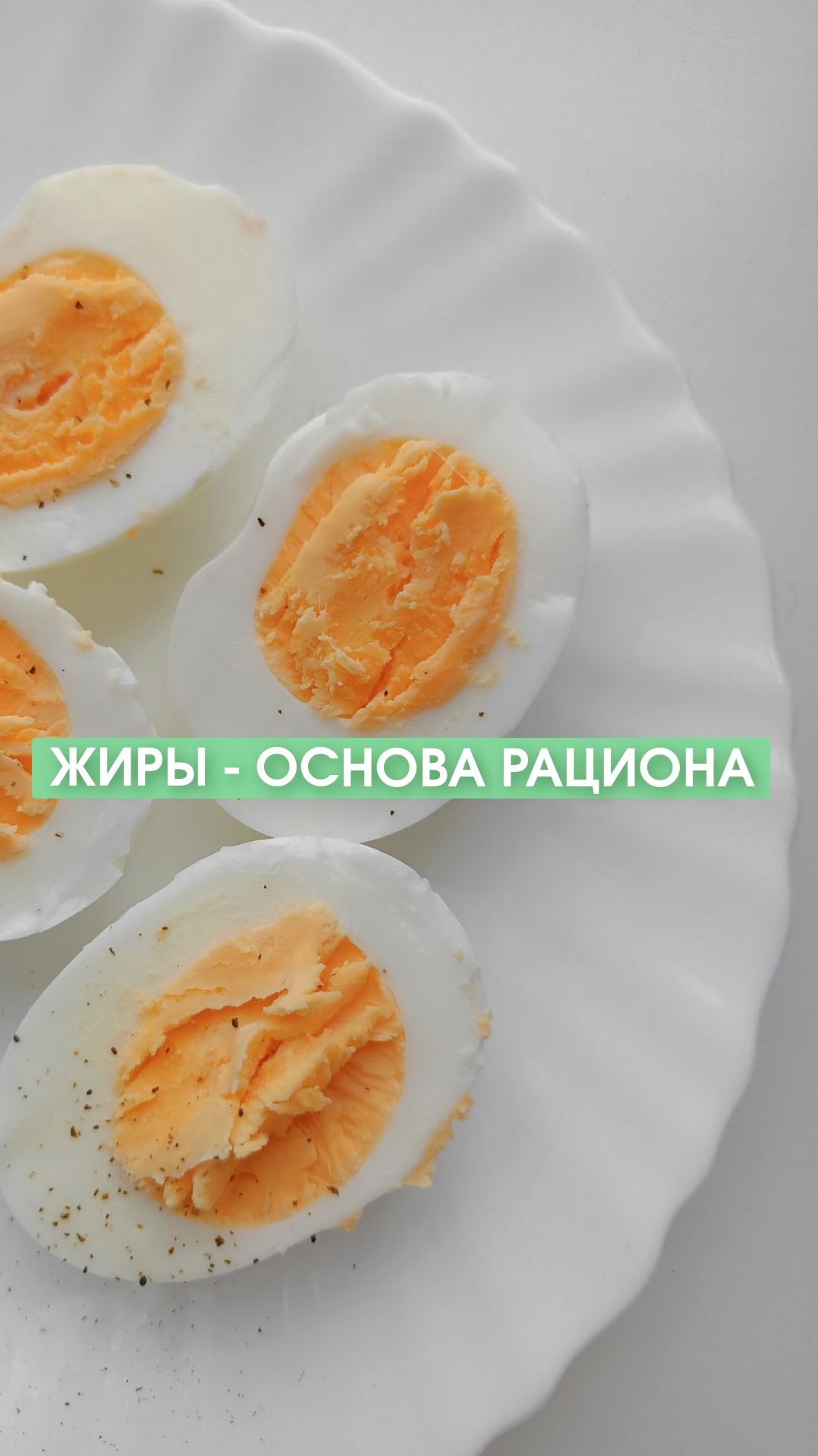 Жиры — основа рациона