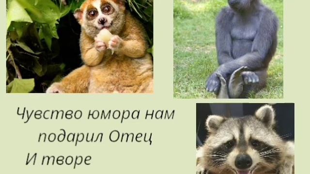 VID_20260129_074408_640.mp4 смотреть онлайн