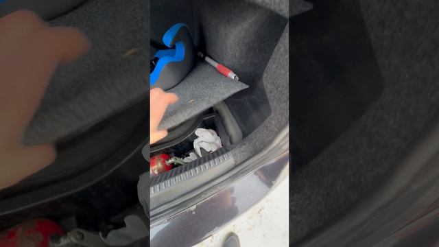 IMG_2907 смотреть онлайн