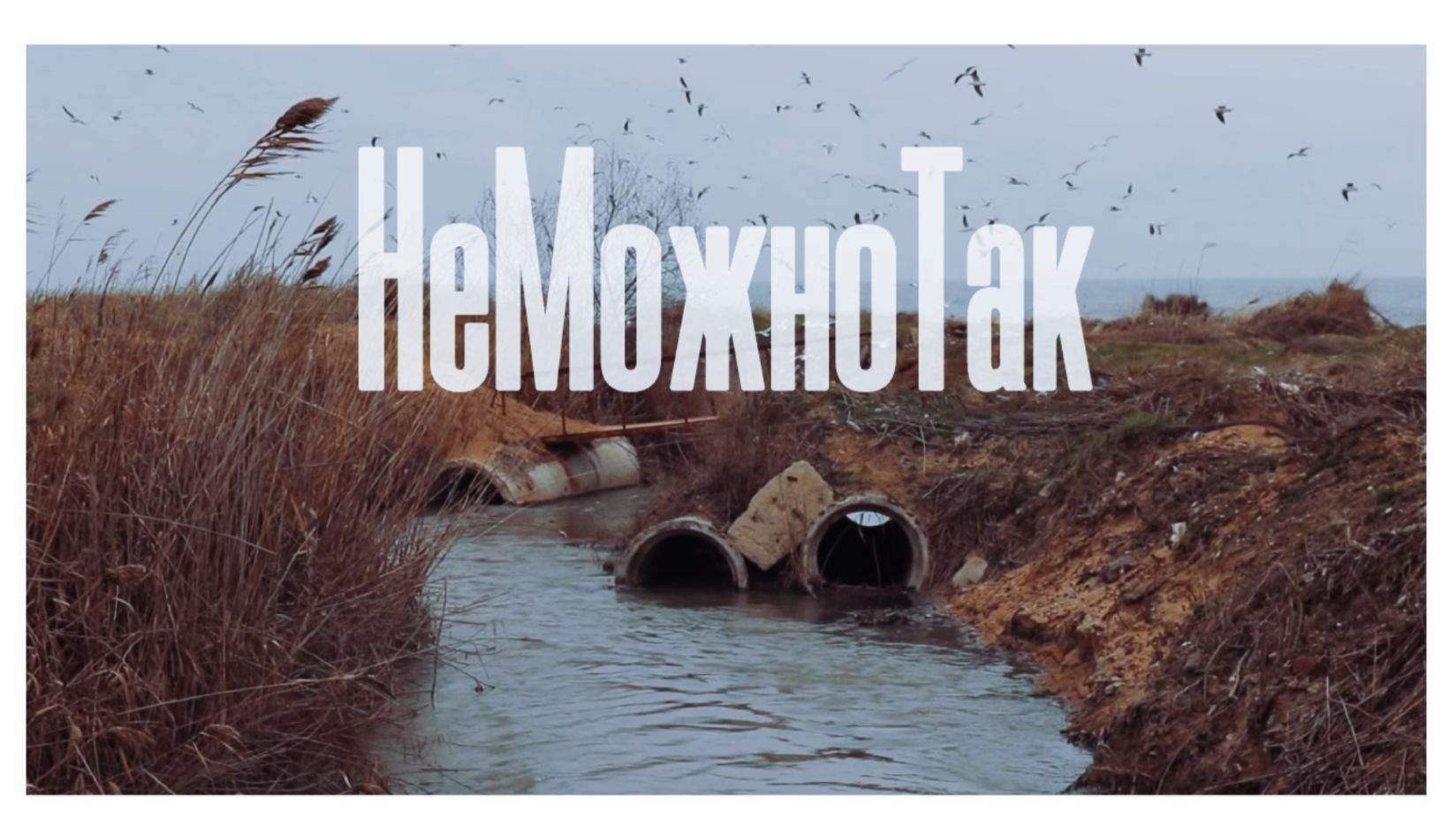 Воняйка  Часть I