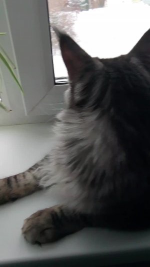 без названия