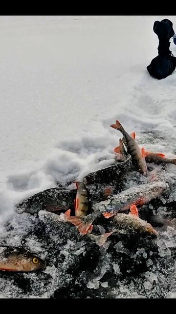 На рыбалке смотреть онлайн