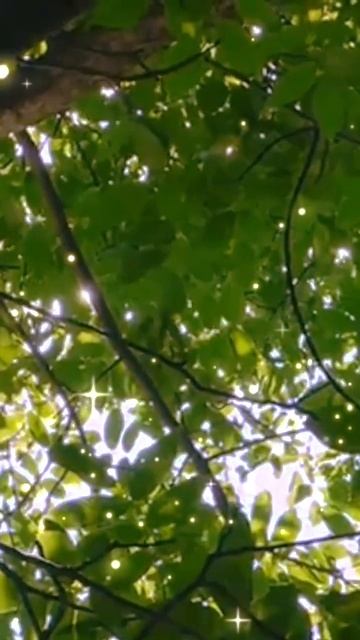 "Жизнь у каждого одна " читает Любовь Б. #мудрыеслова #стихи #поэзия #читаюстихи смотреть онлайн