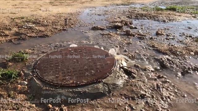 На проспекте Античном снова течёт канализация смотреть онлайн