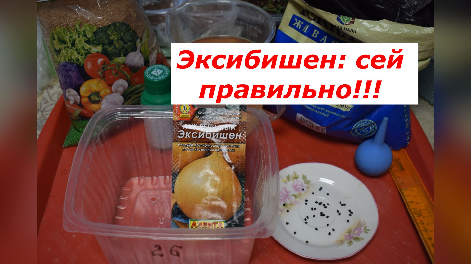 Секрет гигантского лука: как правильно посеять Эксибишен, чтобы собрать огромный урожай. смотреть онлайн