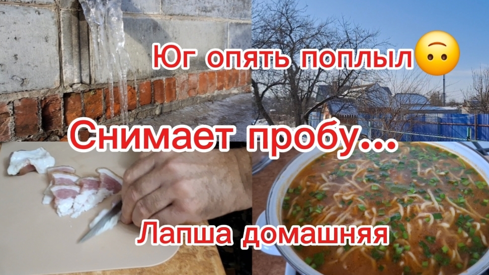 29-01-2026 Переехали из Сибири на юг/Юг удивляет каждый день/Снимает пробу/Лапша домашняя/Юг тает/ смотреть онлайн