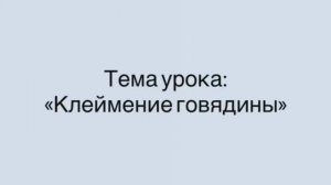 641, МДК 01.03, 02.02.2026 - Клеймение говядины