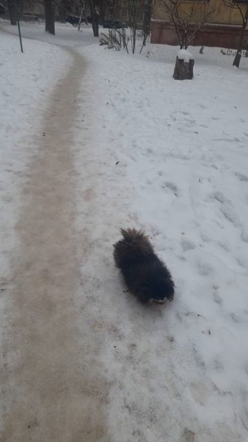 🖋️🚀ЛЕДЯНОЙ ДОЖДЬ ☔ 🖋️🚀 смотреть онлайн